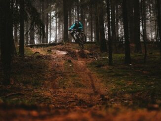Terrengsyklist hopper over en ujevn sti i tett skog